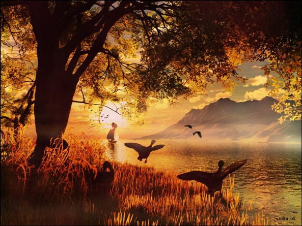 Alba bellissima, in un paesaggio da sogno, dorato, e gli uccelli che volano.
